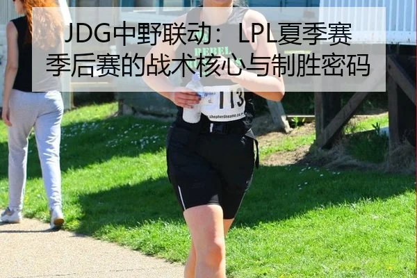 JDG中野联动：LPL夏季赛季后赛的战术核心与制胜密码
