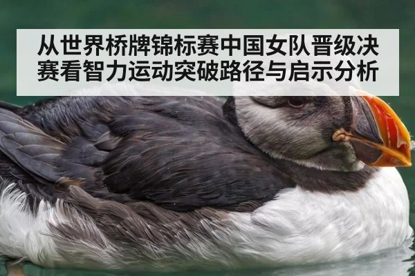 从世界桥牌锦标赛中国女队晋级决赛看智力运动突破路径与启示分析