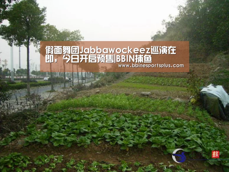 BBIN视讯