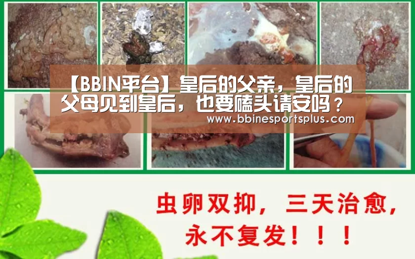 BBIN平台