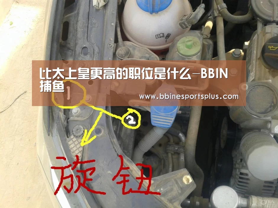 比太上皇更高的职位是什么-BBIN捕鱼(图1) BBIN平台