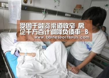 受困于融资渠道收窄 房企千方百计调降负债率-BBIN足球(图3) BBIN足球
