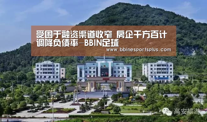 受困于融资渠道收窄 房企千方百计调降负债率-BBIN足球(图2) BBIN平台