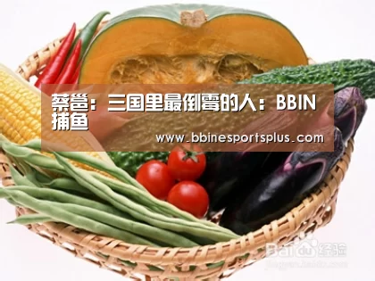 BBIN平台